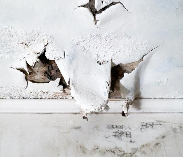 mold and drywall damage